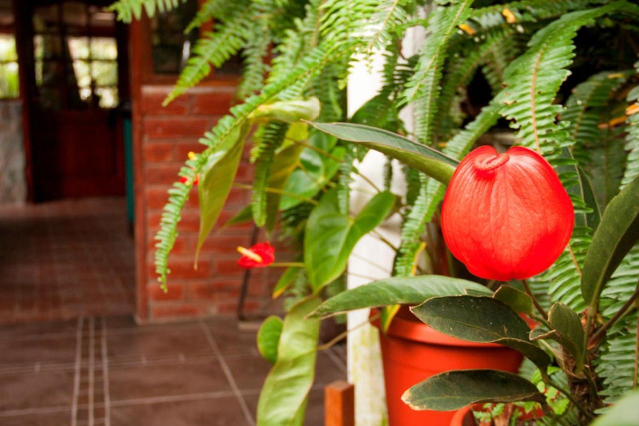 El Pedron Hotel Banos  Exterior photo